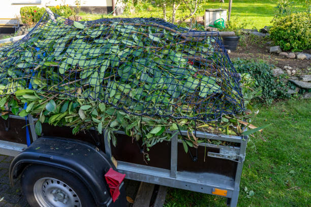 Same-Day Junk Removal Services in Palmyra, NJ